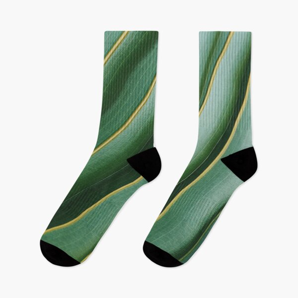 Item preview, Green Indoor Plant Leaves stripe designed and sold by Reaisa.