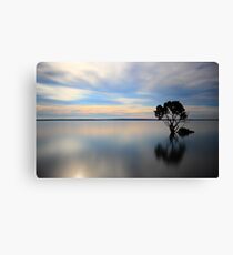 Ol' Woody at Tenby Point Canvas Print