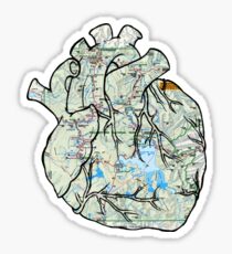 Heart to Travel Sticker
