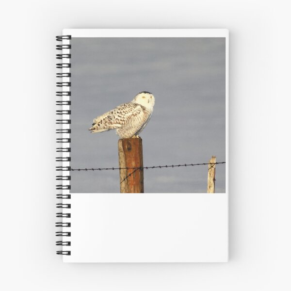 Item preview, Snowy Owl on a fence post designed and sold by OrloHuels.