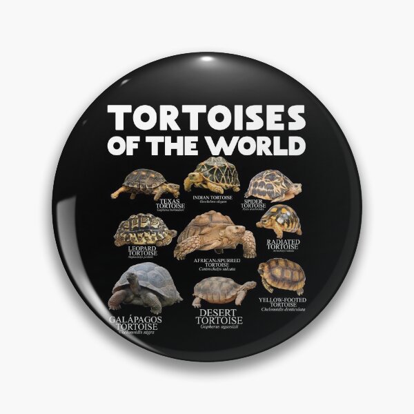 Item preview, Tortoises Of The World Turtles Lover Save The Tortoises Gear designed and sold by DynamicDesign.