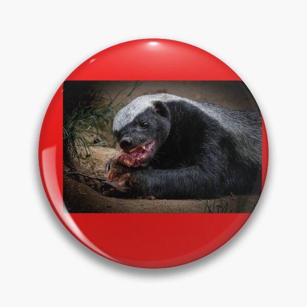 Item preview, Skunk designed and sold by myuniquepet.