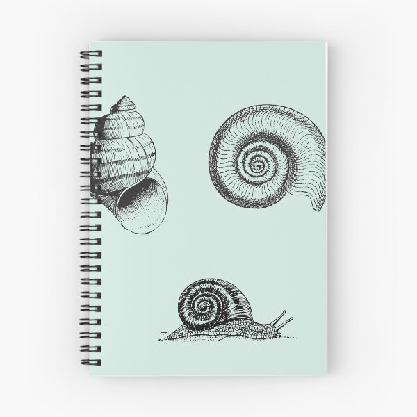 Item preview, all stage of snail designed and sold by MagdalenaRulez.