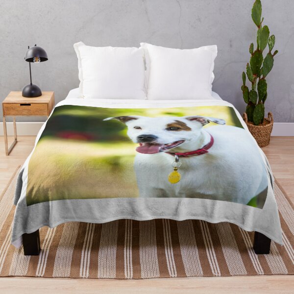 Item preview, Stan the Staffy Cross, Dog designed and sold by Jane Stanley Photography.