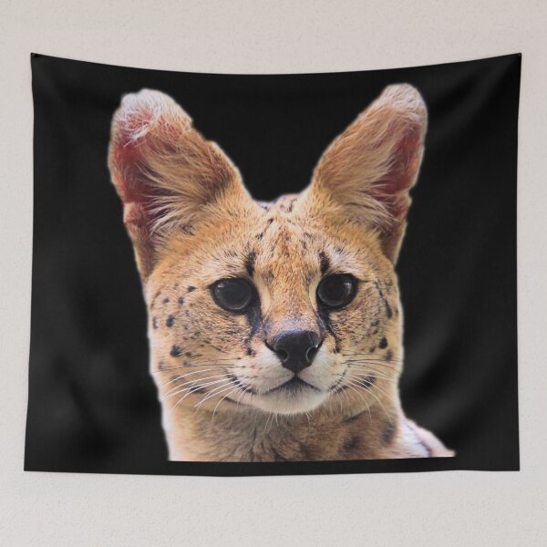 Item preview, Serval designed and sold by myuniquepet.