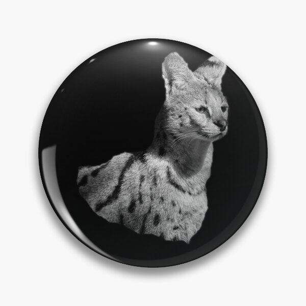 Badges Sur Le Theme Serval Redbubble