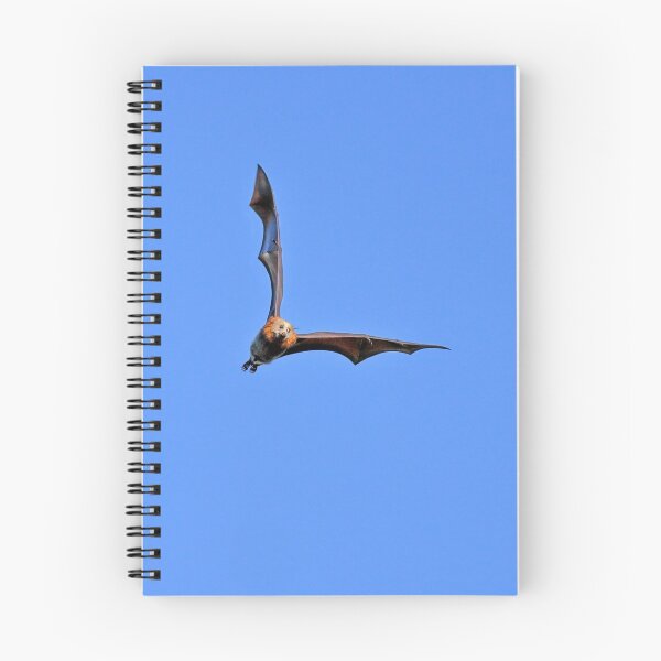 Item preview, Joy Flight designed and sold by Nicholas Blackwell.