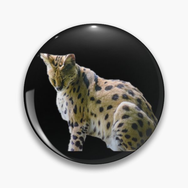 Item preview, Serval designed and sold by myuniquepet.