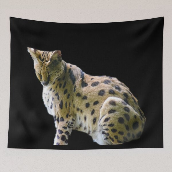 Item preview, Serval designed and sold by myuniquepet.