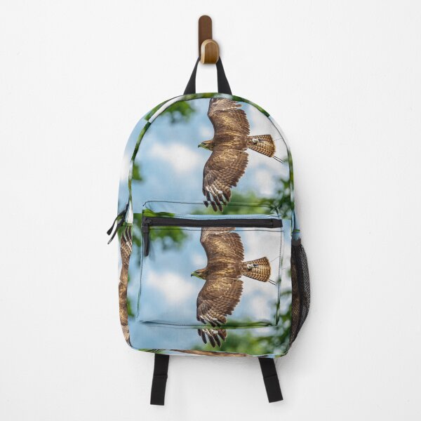 Item preview, Buzzard displaying falconry telemetry designed and sold by Dalyndigital Photography.