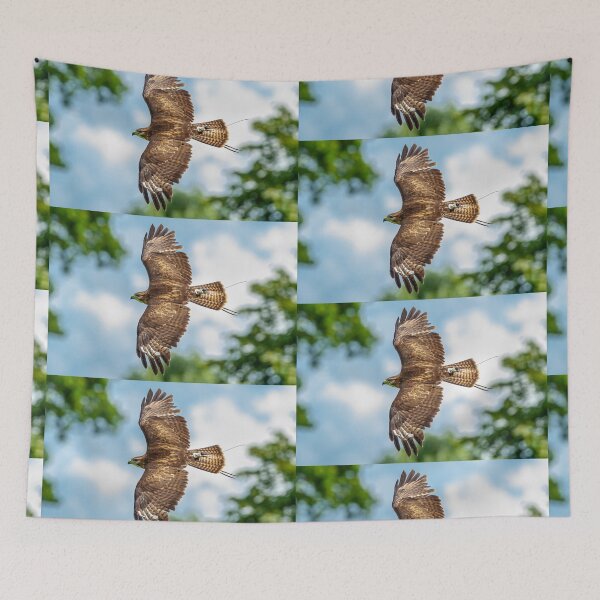 Item preview, Buzzard displaying falconry telemetry designed and sold by Dalyndigital Photography.