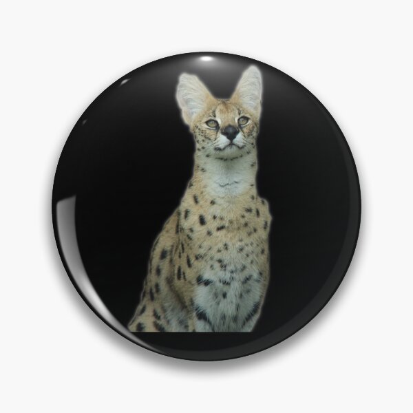 Item preview, Serval designed and sold by myuniquepet.