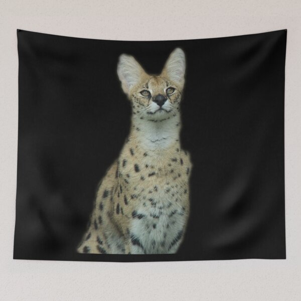Item preview, Serval designed and sold by myuniquepet.