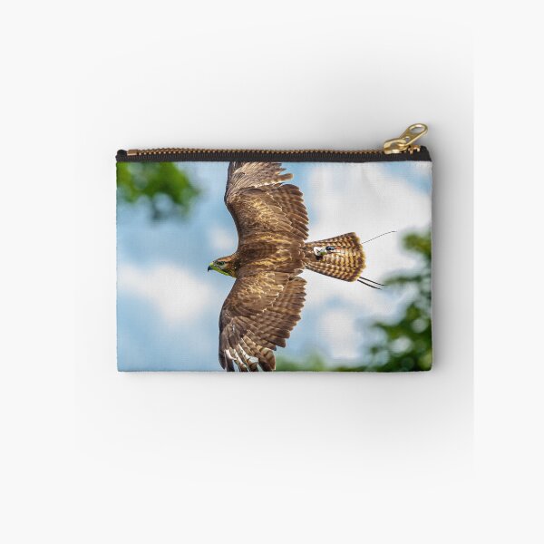 Item preview, Buzzard displaying falconry telemetry designed and sold by Dalyndigital Photography.