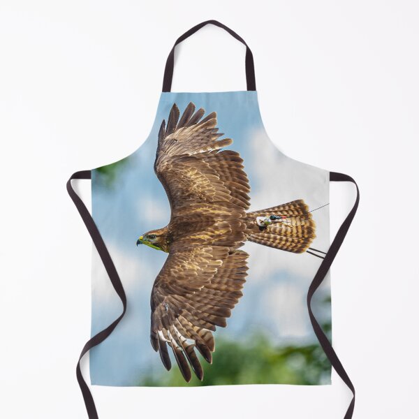 Item preview, Buzzard displaying falconry telemetry designed and sold by Dalyndigital Photography.
