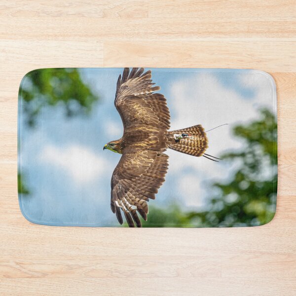 Item preview, Buzzard displaying falconry telemetry designed and sold by Dalyndigital Photography.