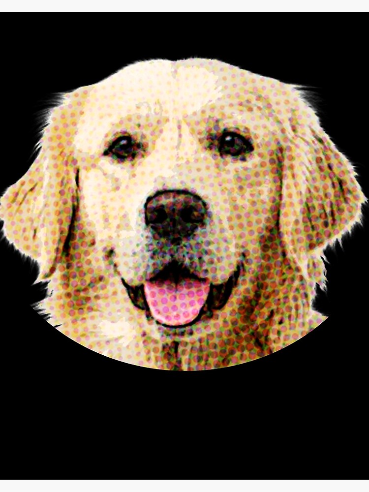 Funny Golden Retriever Face ubicaciondepersonas.cdmx.gob.mx