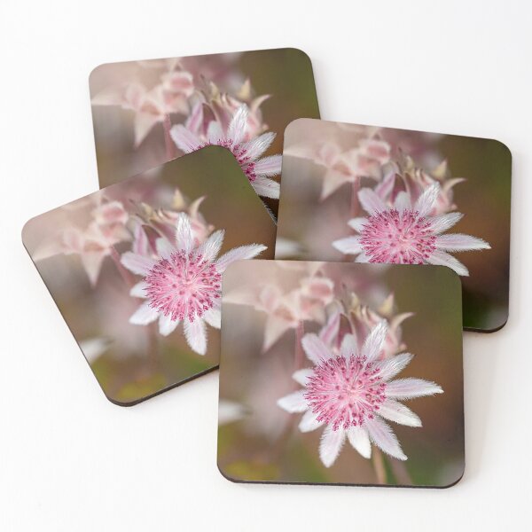 Item preview, Pink Flannel Flower - photograph designed and sold by Kestrelle.