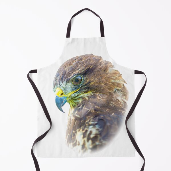 Item preview, Buzzard concentration on prey below its perch designed and sold by Dalyndigital Photography.