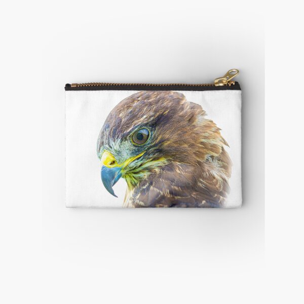 Item preview, Buzzard concentration on prey below its perch designed and sold by Dalyndigital Photography.
