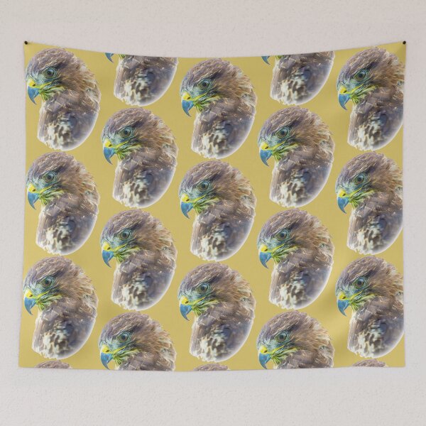 Item preview, Buzzard concentration on prey below its perch designed and sold by Dalyndigital Photography.