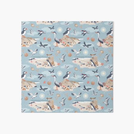 Coastal Birds Art Board Print