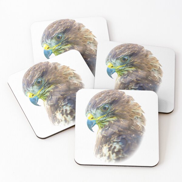 Item preview, Buzzard concentration on prey below its perch designed and sold by Dalyndigital Photography.