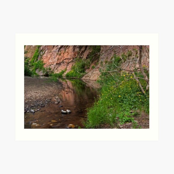 A Magic Place Art Print