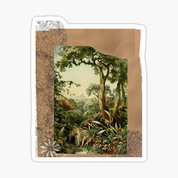 VINTAGE FOREST JUNGLE Collage of Ceylon | Botanical drawing fine art embellished Sticker