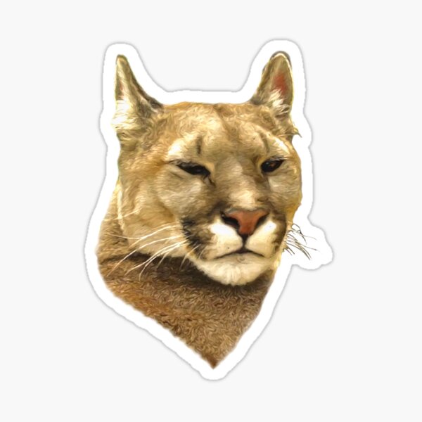 Details about   Mountain Lion Cougar Hunting Decal Cougar Mountain Lion Hunting Sticker 7040 