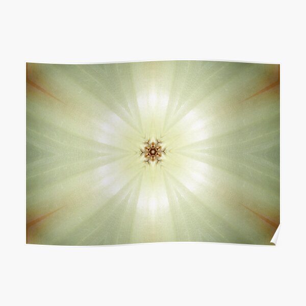 Kaleidoscopic Nature 00090 Poster