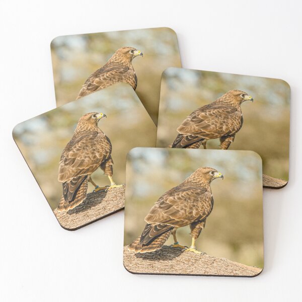 Item preview, Buzzard on a branch designed and sold by Dalyndigital Photography.