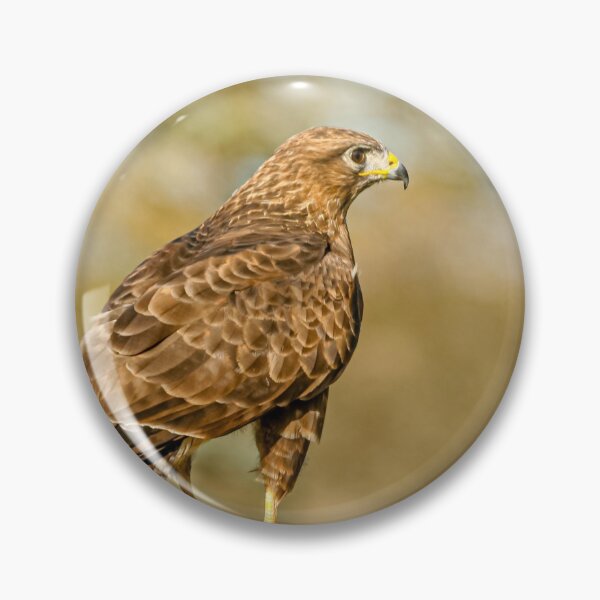 Item preview, Buzzard on a branch designed and sold by Dalyndigital Photography.
