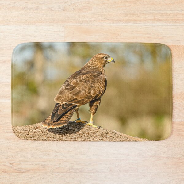 Item preview, Buzzard on a branch designed and sold by Dalyndigital Photography.
