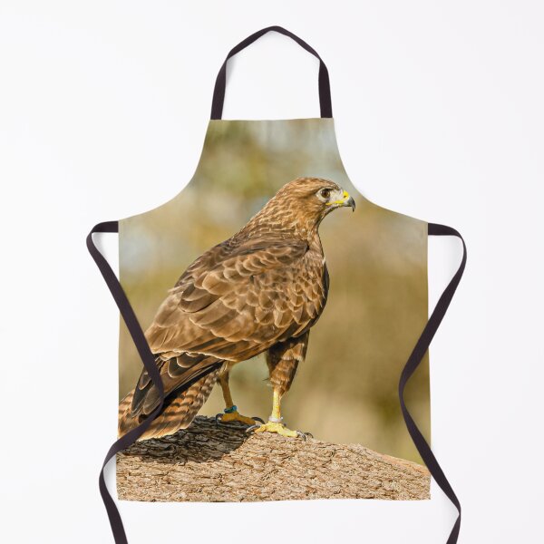 Item preview, Buzzard on a branch designed and sold by Dalyndigital Photography.