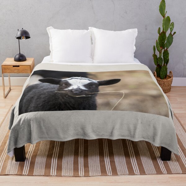 Item preview, Black and White Lamb II designed and sold by Jane Stanley Photography.