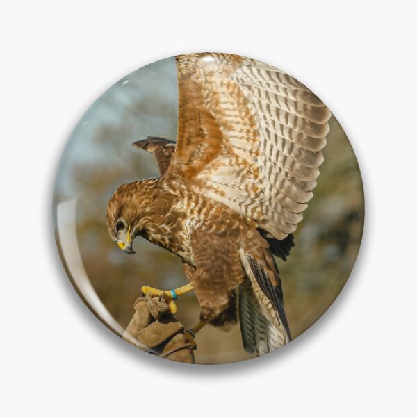 Item preview, Buzzard coming to the glove designed and sold by Dalyndigital Photography.