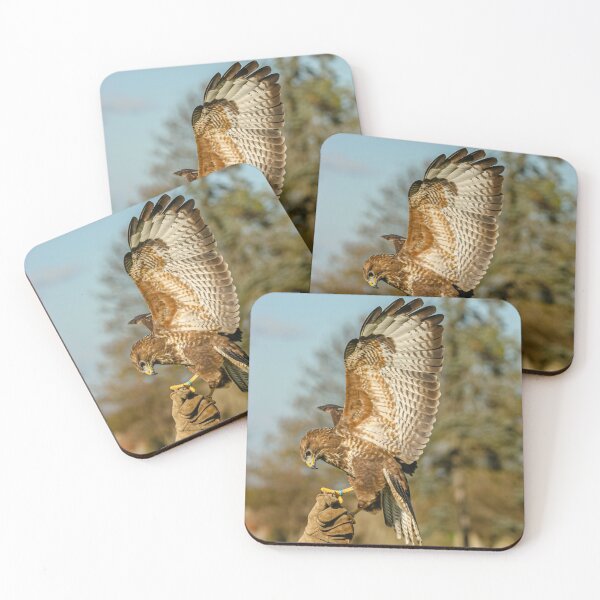Item preview, Buzzard coming to the glove designed and sold by Dalyndigital Photography.