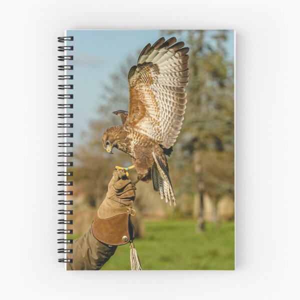 Item preview, Buzzard coming to the glove designed and sold by Dalyndigital Photography.