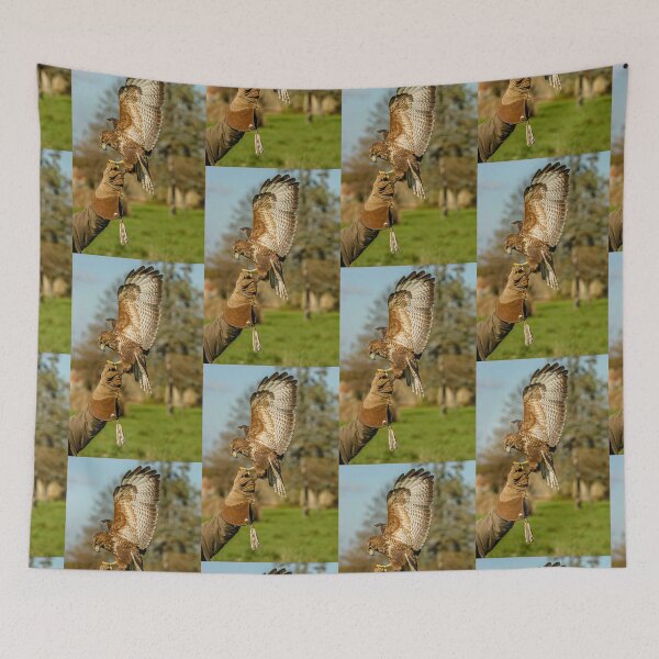 Item preview, Buzzard coming to the glove designed and sold by Dalyndigital Photography.