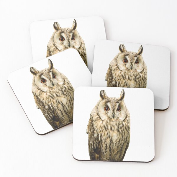 Item preview, Long-Eared Owl designed and sold by Jane Stanley Photography.