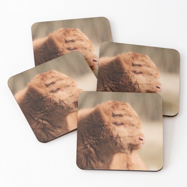 Item preview, Fluffy Scottish Highland Calf designed and sold by Melissa Peltenburg.
