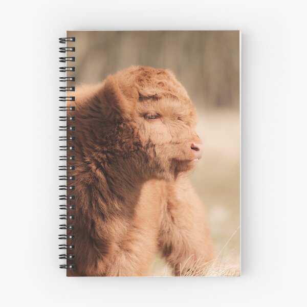 Item preview, Fluffy Scottish Highland Calf designed and sold by Melissa Peltenburg.