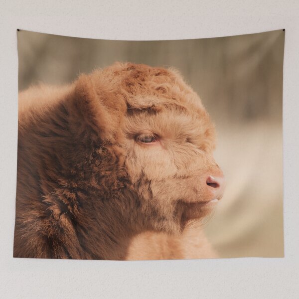 Item preview, Fluffy Scottish Highland Calf designed and sold by Melissa Peltenburg.