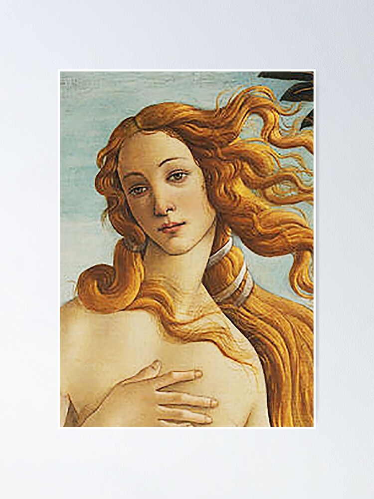 Venus Kopf Die Geburt Der Venus 1486 Sandro Botticelli Poster Von Tomsredbubble Redbubble