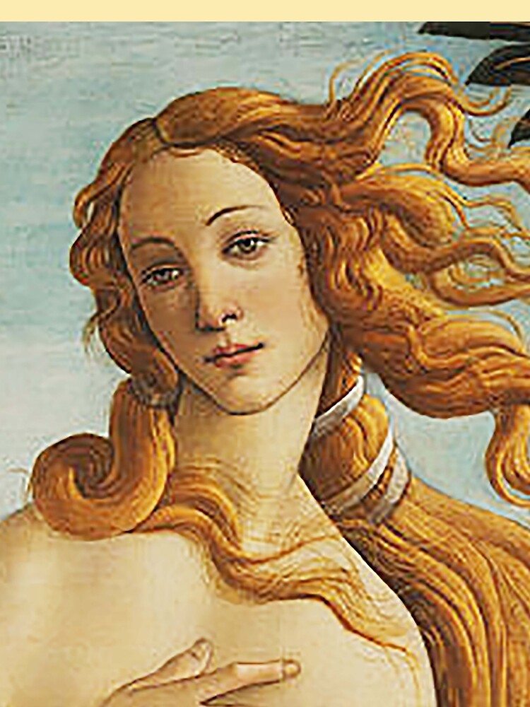 "VENUS. HEAD. The Birth of Venus. 1486. Sandro Botticelli." Sleeveless