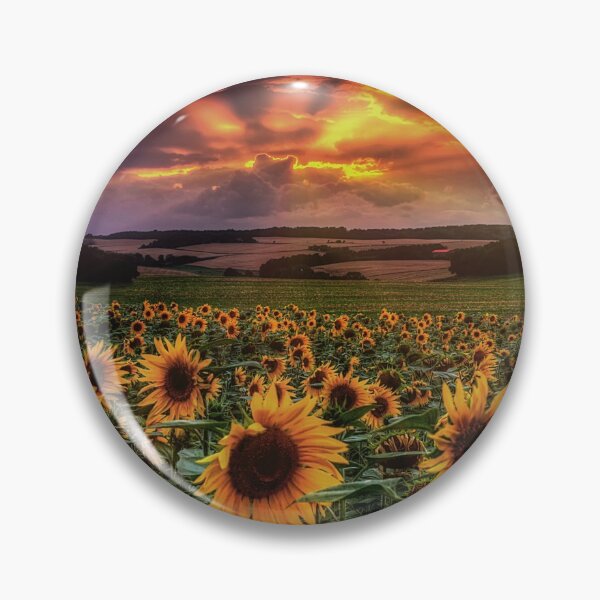 Artikelvorschau, Sunflowers at Sunset entworfen und verkauft von Steffen Gierok.