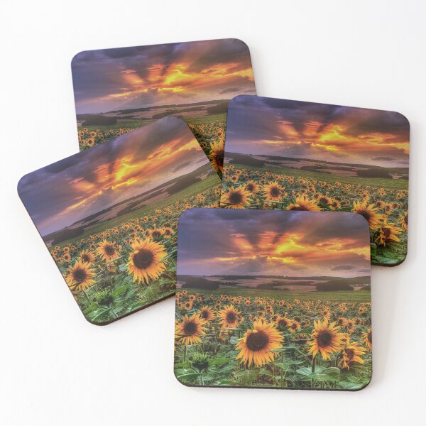 Artikelvorschau, Sunflowers at Sunset entworfen und verkauft von Steffen Gierok.
