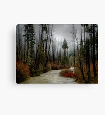 Winters Love ~ Upper Fall Creek ~ Canvas Print
