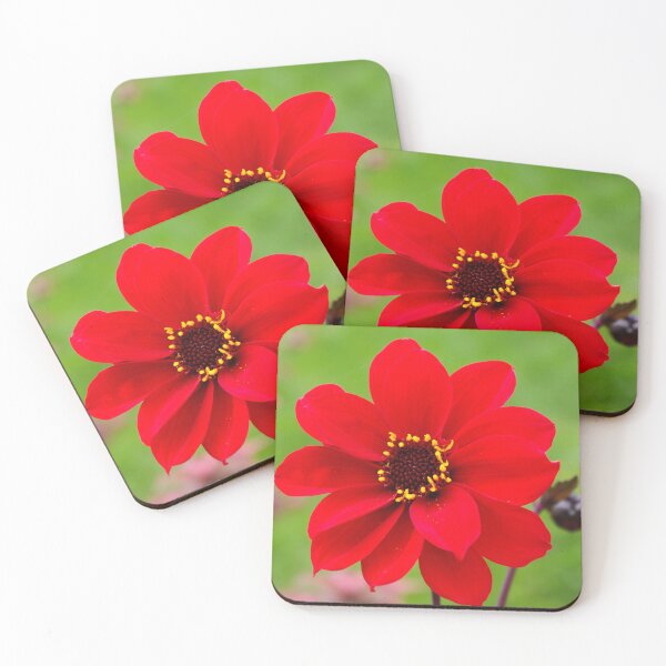 Item preview, Bishop of Llandaff dahlia bloom designed and sold by LindaCooke.